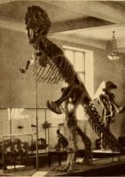 A Day at the Museum photo