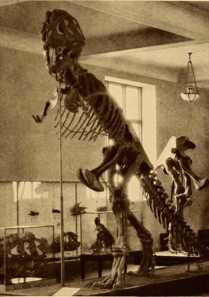 “A Day at the Museum” by Michael J. Cannistraci